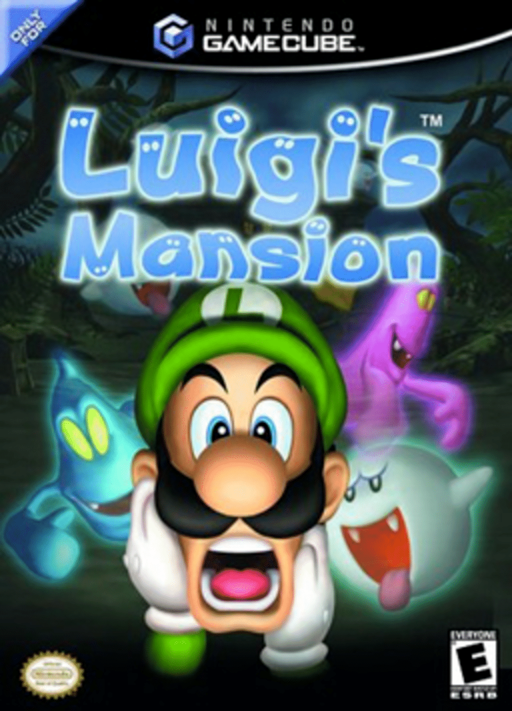Luigi's Mansion cover