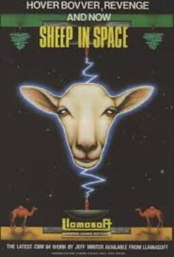 Sheep In Space