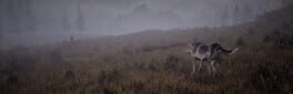 Wandering Wolf artwork 1