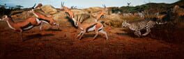 Animalia Survival artwork 1