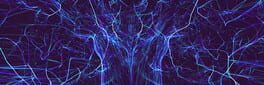 Ultimate Neural Network artwork 1