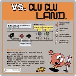 Vs. Clu Clu Land artwork 1