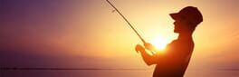 Fishing at Lotus Lakes artwork 1