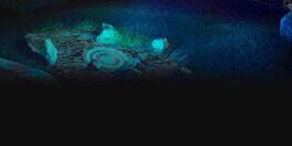 Secret Case: Paranormal Investigation artwork 1
