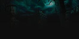 Youda Mystery: The Stanwick Legacy artwork 1