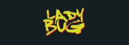 LadyBug artwork 1