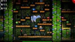 Canyon Capers artwork 1