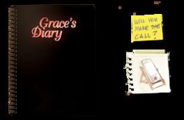 Grace's Diary artwork 1
