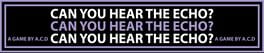Can You Hear the Echo? artwork 1