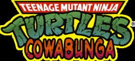 Teenage Mutant Ninja Turtles: Cowabunga artwork 1