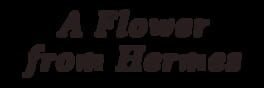 A Flower from Hermes artwork 1