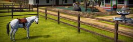 Farm Manager 2021: Agrotourism artwork 1