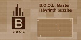 B.O.O.L: Master labyrinth puzzles artwork 1