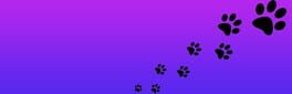 Roxy Raccoon's Pinball Panic artwork 1