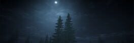 Play Outside Simulator artwork 1