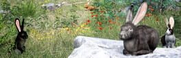 Rabbit Meadow artwork 1