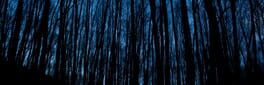 Dark Haunting artwork 1