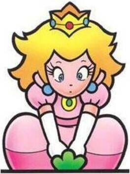 Super Mario Advance artwork 10