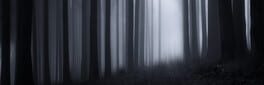 The Dark Journey artwork 1