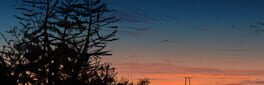 Fall In Love 1 artwork 1