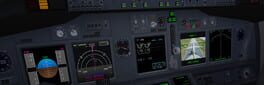 Flight 737: Maximum artwork 1