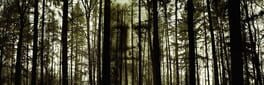 Dark Dimension artwork 1