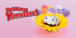 Brilliant Hamsters! artwork 1