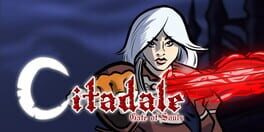 Citadale: Gate of Souls artwork 1