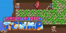 Legend of Hero Tonma artwork 1