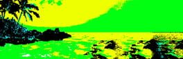 Dolphin Hustle artwork 1