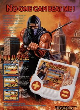 Ninja Gaiden artwork 2