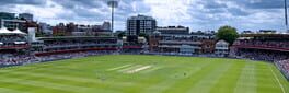 Cricket Captain 2022 artwork 1