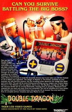 Double Dragon artwork 1