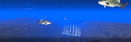 Fish Cymophis artwork 1