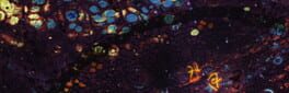 Deadnaut: Signal Lost artwork 1