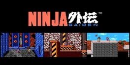 Ninja Gaiden artwork 1