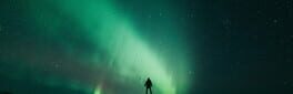 The Green Light artwork 1