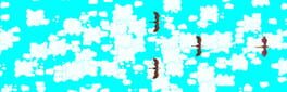 Draconis Volatus artwork 1
