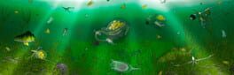 The Aquatic Messenger artwork 1