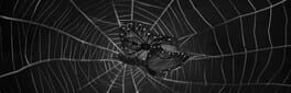 Paramnesia artwork 1