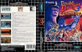 Double Dragon 3: The Arcade Game artwork 1