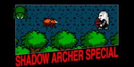 Shadow Archer Special artwork 1