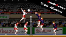 Arcade Archives: Super Volleyball artwork 3