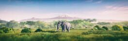 Seclusa artwork 3