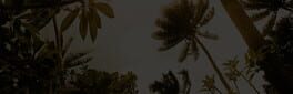 Recondo artwork 1
