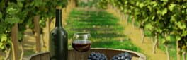Winery Simulator artwork 1