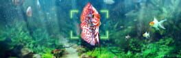 Snapshot Aquarium artwork 1