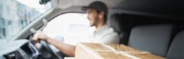 Delivery Driver: The Simulation artwork 1