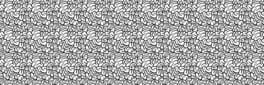 1000 Hidden Snails artwork 1