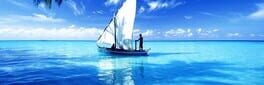 Virtual Sailor NG artwork 1
